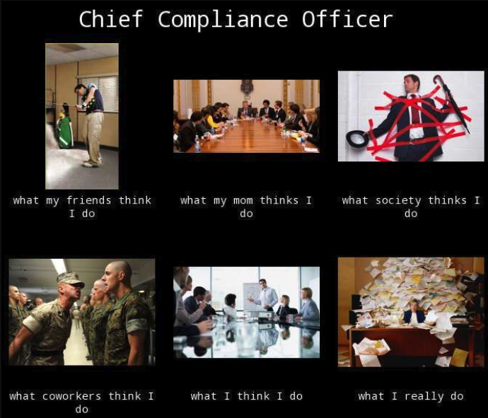 Chief Compliance Officer What my friends think I do